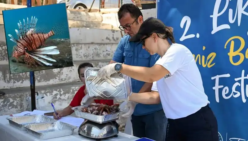 Antalya'da Düzenlenen Aslan Balığı Avlama Yarışması: Doğayı Koruma Amaçlı Etkinlik