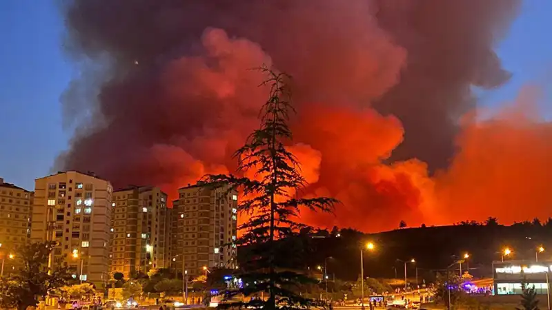 Bursa'da Yangınlar Şehri Sarmaladı: Hızla Yayılıyor