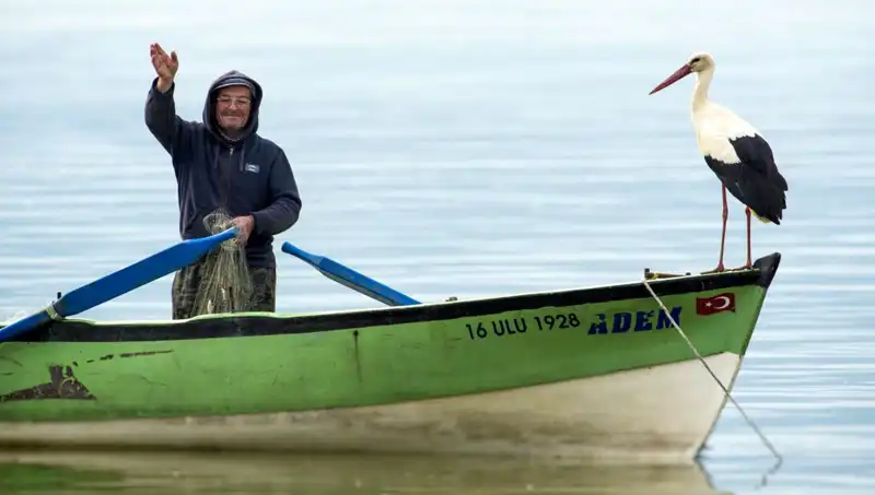 Yaren Leylek Geldi mi? Leyleklerin Havada Uçtuğu Dönem Başlıyor!