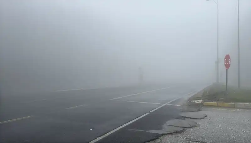 Bolu Dağı'nda Sisin Görüş Mesafesine Etkisi: Sürücüler Dikkat!