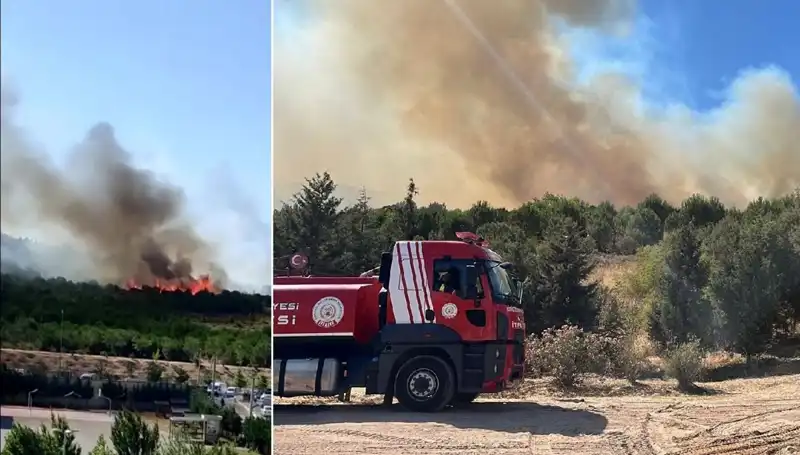 Gebze'de Yangın Alarmı: Ormanlık Alan Küllere Döndü!