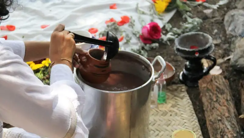 Ayahuasca: Spiritüel Yolculuğun Doğasında Neler Gizli?