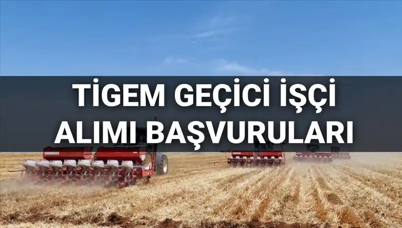 TİGEM 306 Geçici İşçi Alımı: Başvuru Süreci ve Şartlar Neler?