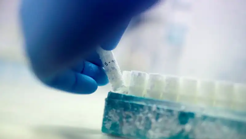 Tıbbi Felaket: 85 Sperm Donörü Binin Üzerinde Çocuğa Baba Oldu
