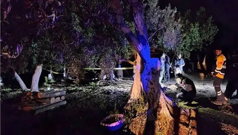 Çiftlikteki Baltalı Vahşet: Tutuklama ve Olayın Ardındaki Korkunç Gerçekler