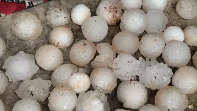Şanlıurfa'da Kar Topu Büyüklüğünde Dolu Yağışı Şaşkınlık Yarattı