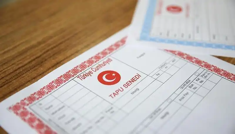 100 Milyonluk Dolandırıcılık: Hisseli Tapu Tuzağının Arkasındaki Sır