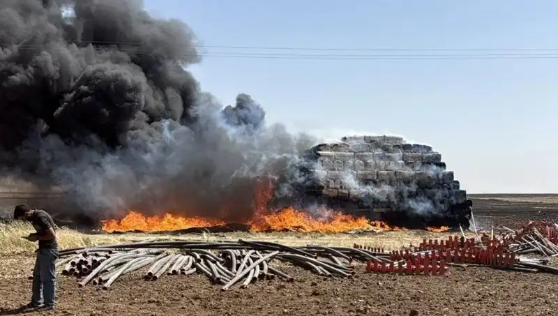 Mardin’deki Anız Yangınları Tarım Üzerindeki Etkileri ve Çözüm Önerileri