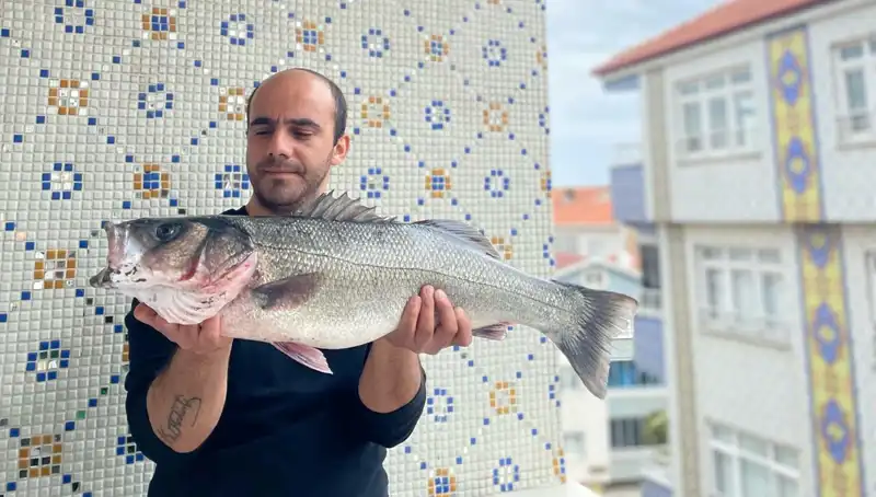 7.5 Kilogramlık Dev Levrek Balığı Yaz Aylarını Sarstı!