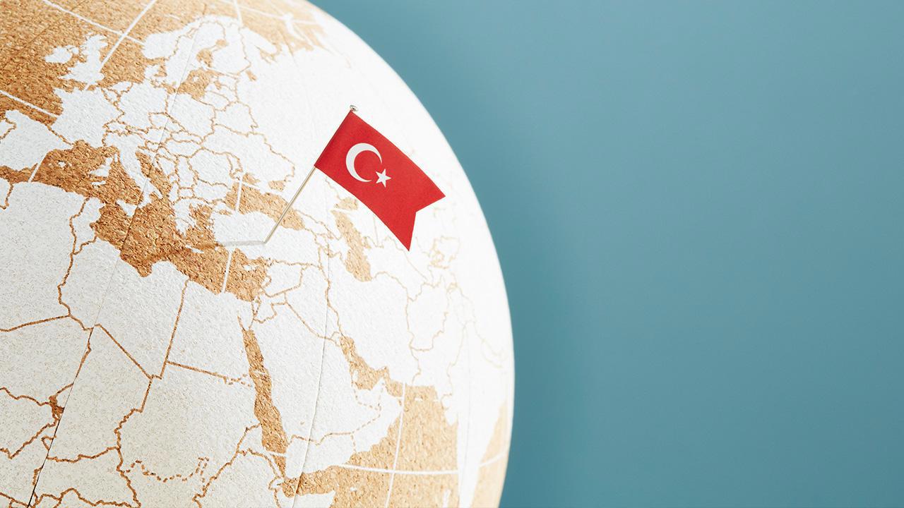 Türkiye'nin Küresel Barış Diplomasisi: Dünya Barışına Yönelik Çalışmaları