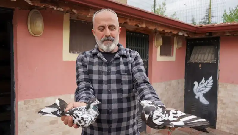 42 Yıl Boyunca Hobi Olarak Yaptığı İş Şimdi Profesyonel Tesis Haline Geldi
