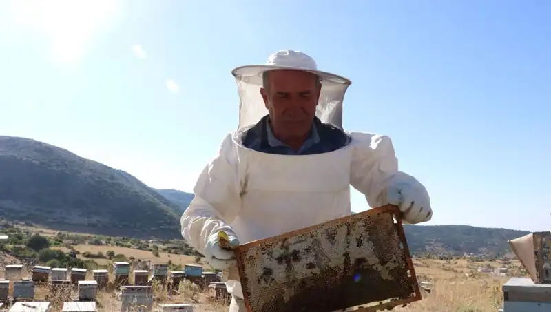 25 Yıl Sonra Mobilya İşinden Uzaklaşan Kişi, Bu Yıl 2 Ton Üretiyor!