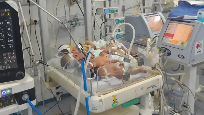 Gazze'deki Doktorların Çaresizliği: Aynı Kuvözde Birden Fazla Bebek