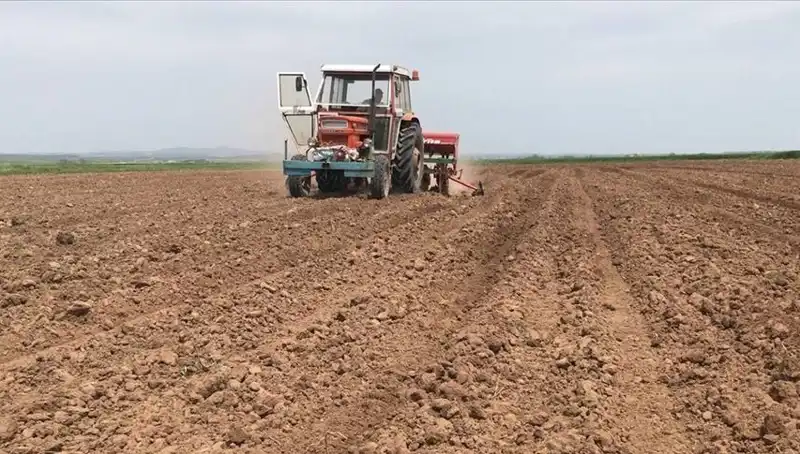 Son 35 Yılda Görülmemiş Kurak Mart Ayı: Yağış Miktarı Yüzde 59 Düştü