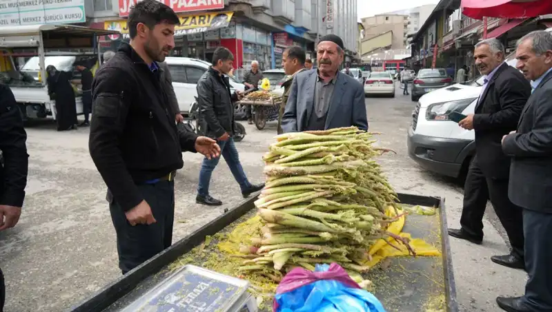 Dağlardan Gelen Şeker: Kanser ve Mide Hastalıklarına İyi Geldiği İddia Ediliyor