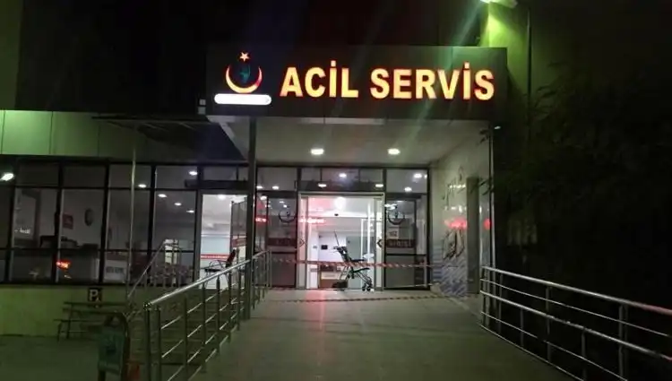 Kardeş Kavgası: Aile İçi Tartışmada Kan Aktı, Olay Şok Etti