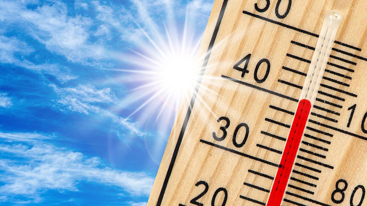 Dünya 2024'te En Sıcak Yılını Yaşadı