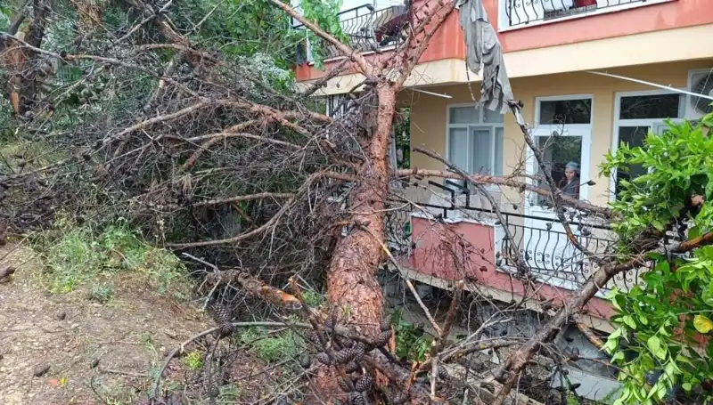 Yağmura Dayanamayan Bina, Kendi Kendine Yıkıldı!