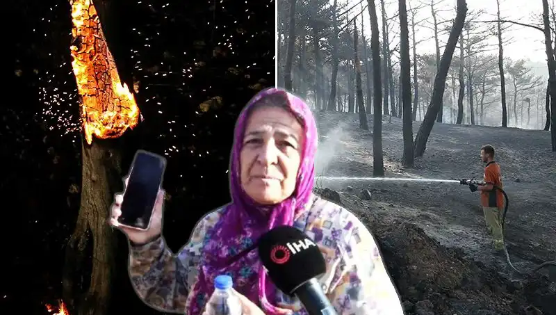 Çanakkale Orman Yangınları Kontrol Altına Alındı: Ancak Kaybolan Hayatlar ve Miraslar Var