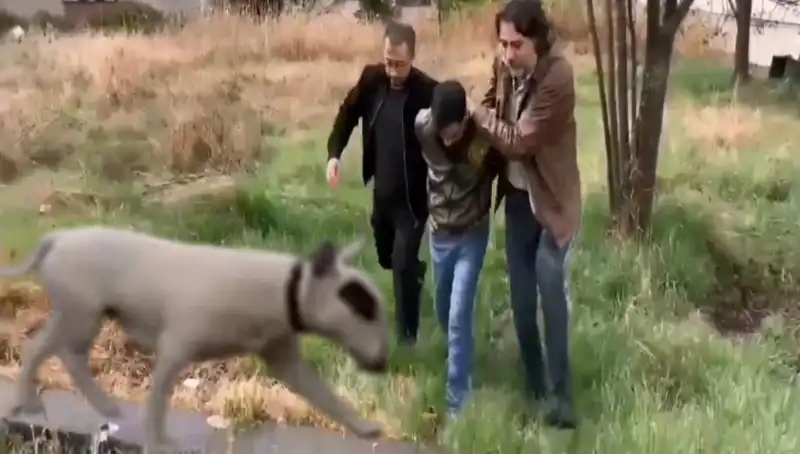 430 Bin Lira Değerindeki Şampiyon Köpek Hırsızlığına Son: Hırsız Yakalandı