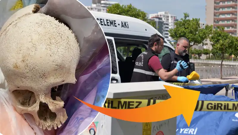 Sitenin Çöpünden Çıkan Kafatasının Sırrı: Uzman Doktor Gözaltında!