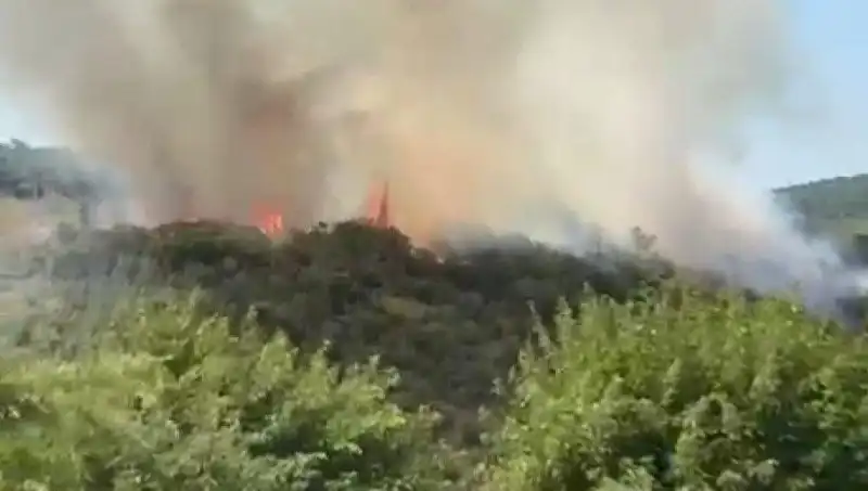 İstanbul'da Çıkan Orman Yangını: Acil Tahliye İle Önlemler Alındı!
