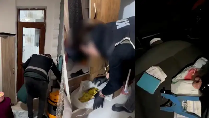 Hayvan Sevk Belgeleri Usulsüzlüğünde Büyük Operasyon: Dokuz Kişi Gözaltında