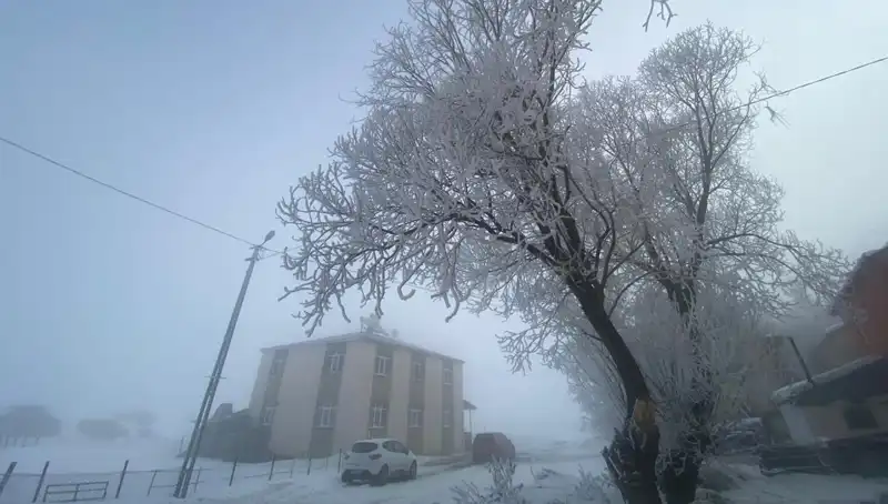 Göl, Eksi 18 Dereceyle Buz Tutmuş Gözler Önünde!