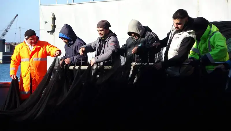Denizlerde Hamsi Avı Sonlandı: Balıkçılar ve Tüketicilerin Yüzü Gülmüyor