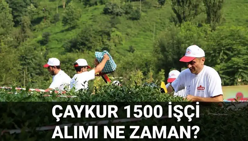 Çaykur İşçi Alımı Başvuru Tarihleri Açıklandı! İşte Detaylar