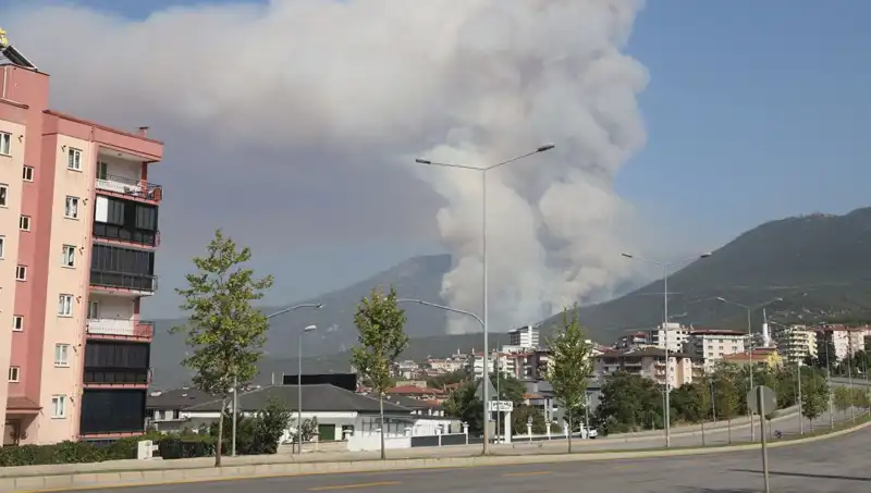 Denizli'de Çıkan Orman Yangını: Bir Şüpheli Gözaltında