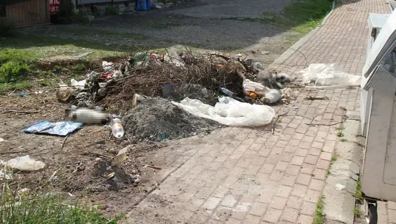Antalya'da Kedi Katliamı: 10 Canlı Ölü Bulundu, Soruşturma Başlatıldı