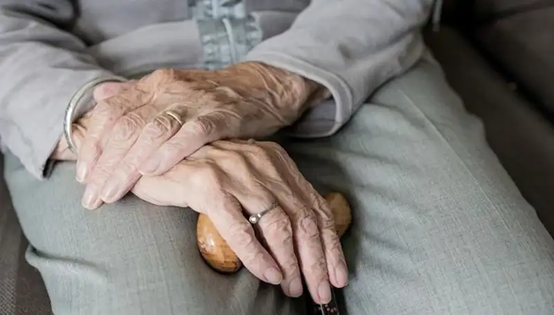 Türkiye'nin Nüfus Yapısı: Yaşlanan Türkiye Gerçeği ve Geleceği