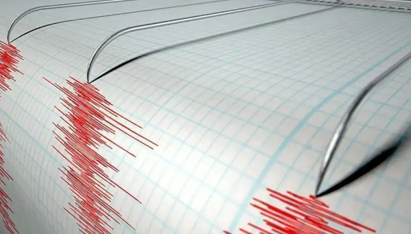 Yeni Zelanda'da 6,7 Büyüklüğünde Şiddetli Deprem: Duyulan Heyecan Kısa Süreli Oldu!
